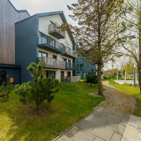 Willow Tree Surfingbird * Dźwirzyno