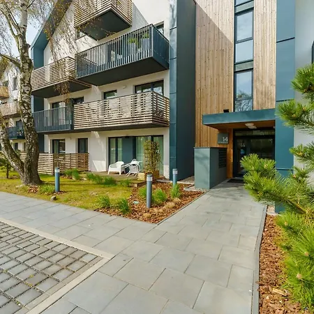 Willow Tree Surfingbird * Dźwirzyno