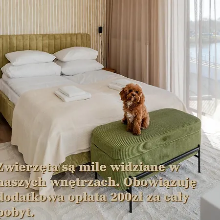 Willow Tree Surfingbird Apartament Dźwirzyno