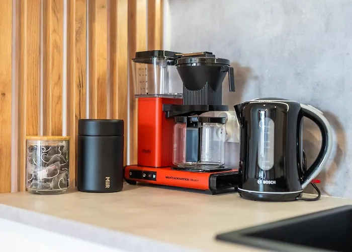 Willow Tree Surfingbird Dźwirzyno