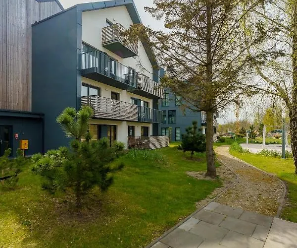 Willow Tree Surfingbird * 드지비르지노