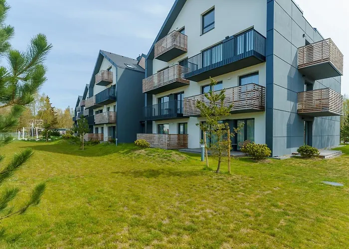 Willow Tree Surfingbird