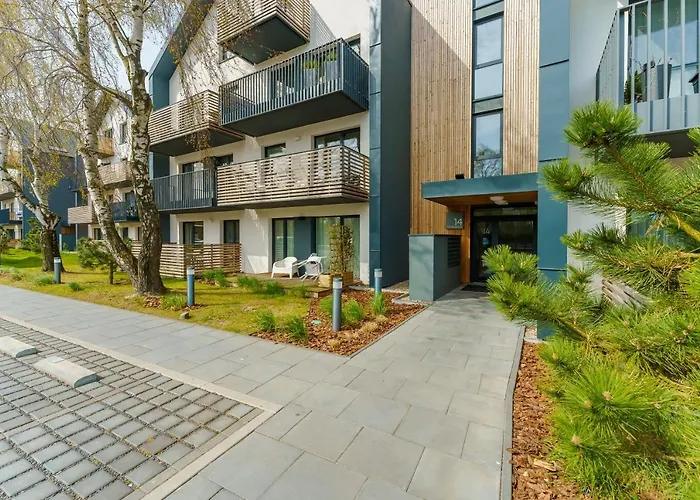 Willow Tree Surfingbird * 드지비르지노